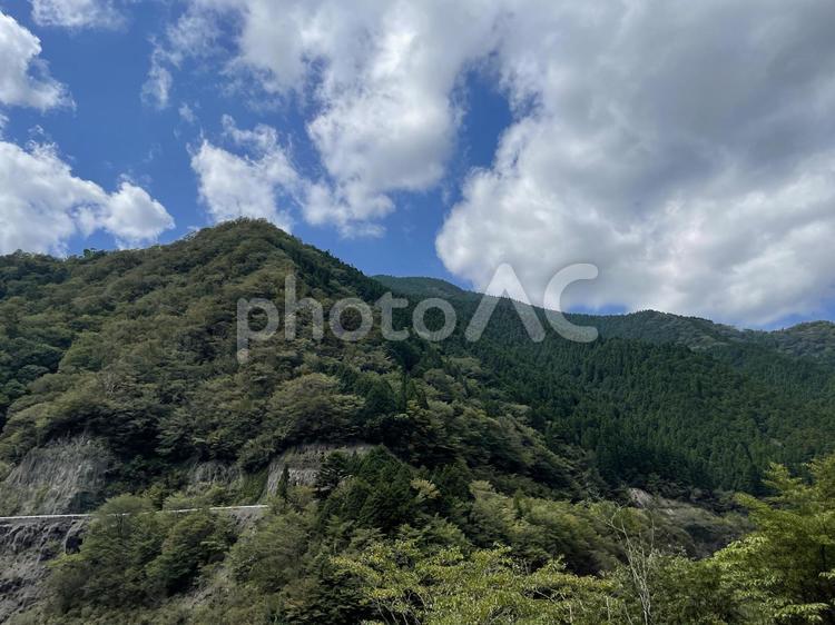 青い空と緑の木 空,青空,木の写真素材
