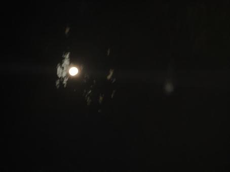 Night Sky, JPG Night Sky, JPG
