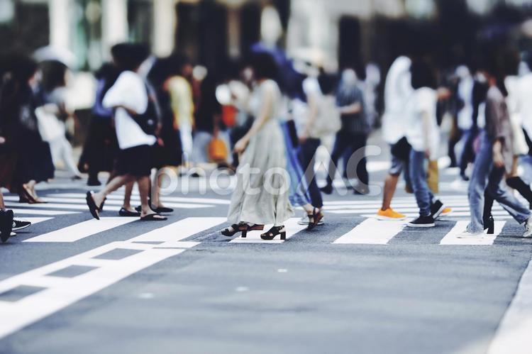 横断歩道を渡る人々 ビジネスイメージ 横断歩道,人,人々の写真素材