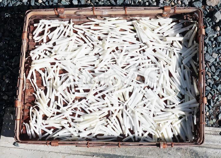 自家製の大根切干を作る 和食,切る,乾燥の写真素材