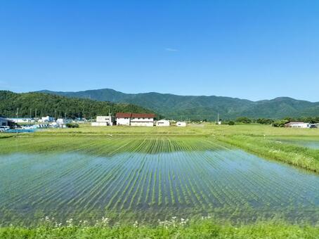 JR北陸本線車窓から長浜市木之本町の田園 jr北陸本線,jr西日本,車窓風景の写真素材