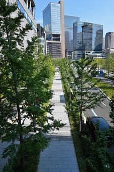 グリーンインフラとオフィス街 グリーンインフラとオフィス街の写真