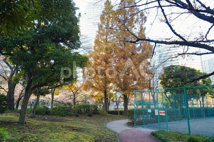 大崎付近の風景 大崎付近,小径,道の写真素材