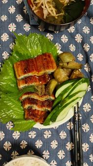 今日のおうちごはんはウナギのかば焼き 今日のおうちごはんはウナギのかば焼き ウナギ,かば焼き,うなぎの写真素材