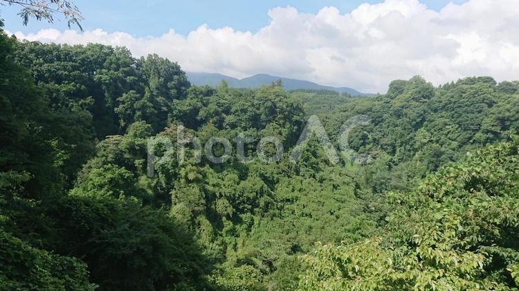 青空と森林 自然,風景,山の写真素材