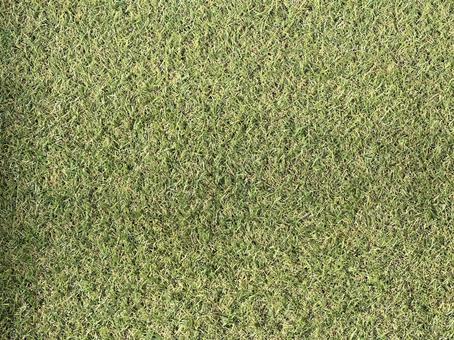 人工芝のテクスチャ 人工芝,芝生,背景素材の写真素材