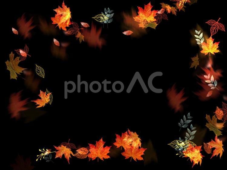 舞い散る紅葉のフレーム 紅葉,落ち葉,もみじの写真素材