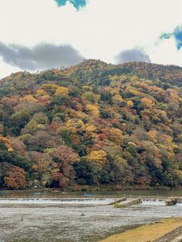 秋の桂川と山々 京都,嵐山,秋の写真素材