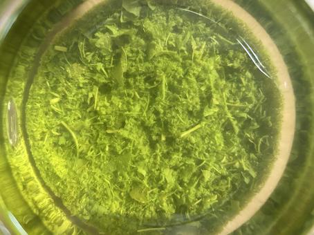 Photo, green tea , tea, green tea, 