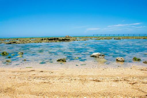 浅瀬 浅瀬 海,海岸,ビーチの写真素材