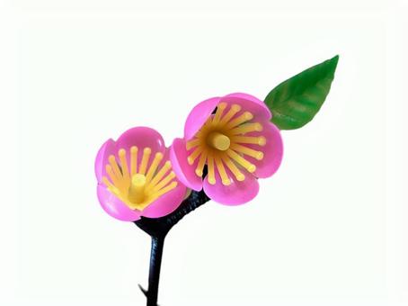 Photo, decoration, peach blossoms, pink, 