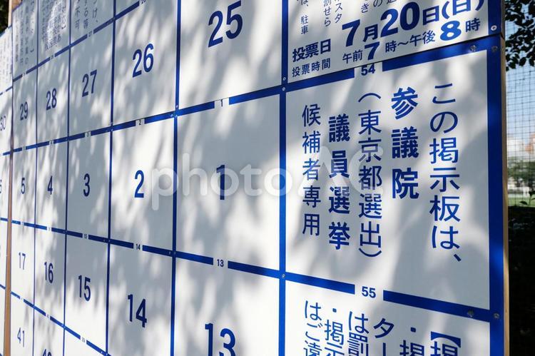 参議院議員選挙のポスター掲示板 参議院議員選挙のポスター掲示板 選挙,選挙ポスター,選挙掲示板の写真素材