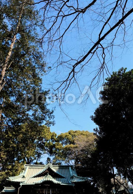 代々木八幡宮 コピースペース,冬,日本の写真素材