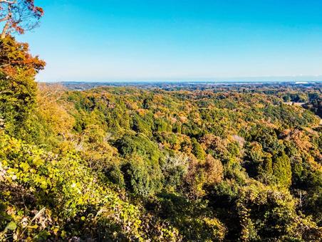 秋の長生き展望台から 紅葉,展望台,眺望の写真素材