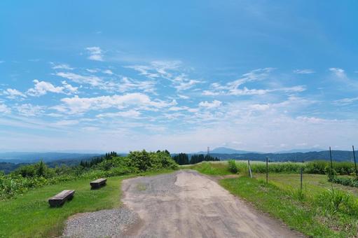 夏の田舎道 夏の田舎道の写真