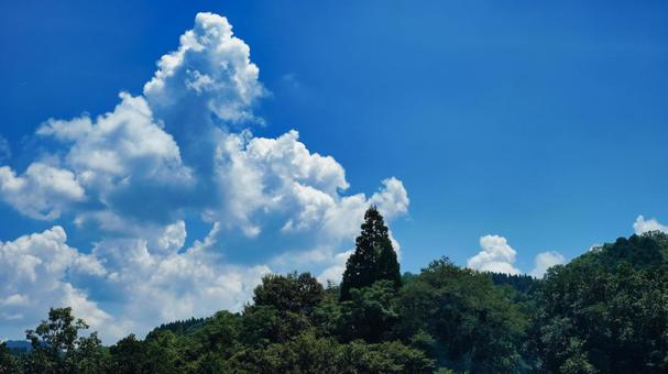 夏の入道雲が空に浮かぶ田舎の風景 夏の入道雲が空に浮かぶ田舎の風景の写真
