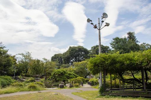 高島公園 高島公園,高島城,城の写真素材