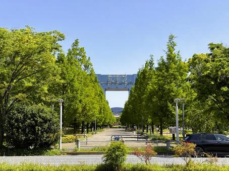 お台場周辺の街並み お台場周辺の街並み 東京都,青海,駐車場の写真素材