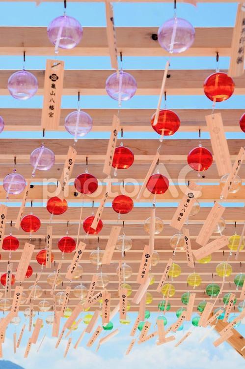 下関の亀山八幡宮における夏の風鈴 山口,下関,亀山八幡宮の写真素材