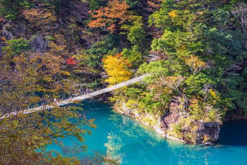 静岡県　寸又峡の夢の吊橋・秋景色 寸又峡,紅葉,風景の写真素材