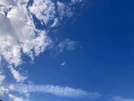 夏の空 夏の空の写真