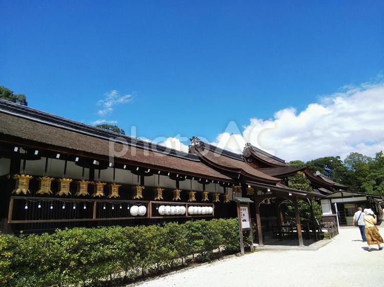 晴れの日の下鴨神社 京都,下鴨神社,夏の写真素材