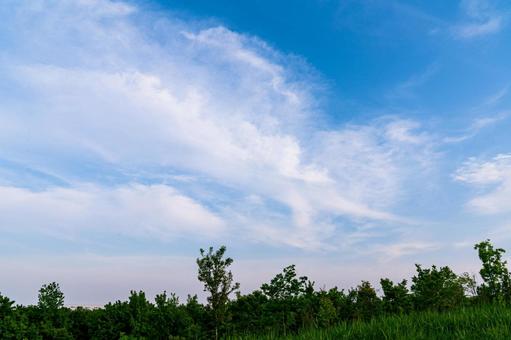 緑の草原と青空と雲 緑の草原と青空と雲 青空,青色,風景の写真素材