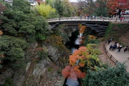 紅葉の猿橋 紅葉の猿橋の写真