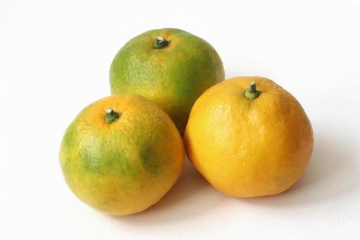 みかん　3個の写真