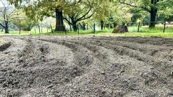 耕された土の写真