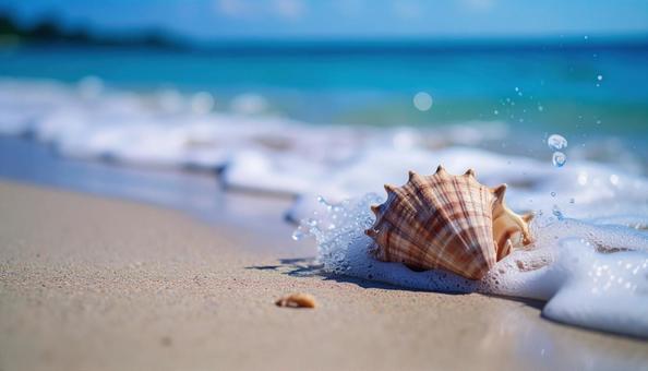 美しい海辺の砂浜の波に流される巻貝 美しい海辺の砂浜の波に流される巻貝の写真