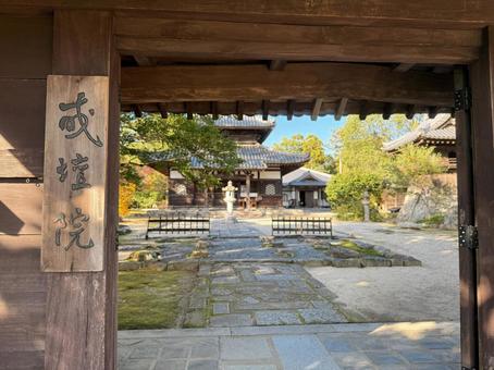 戒壇院(福岡　太宰府市) 戒壇院,寺院,太宰府の写真素材
