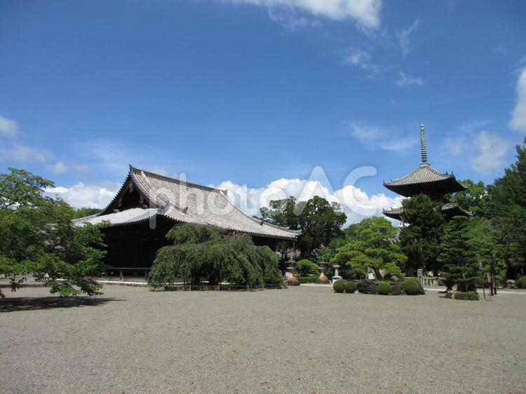 和歌山県-道成寺-本堂と三重塔 道成寺,寺,天音山の写真素材