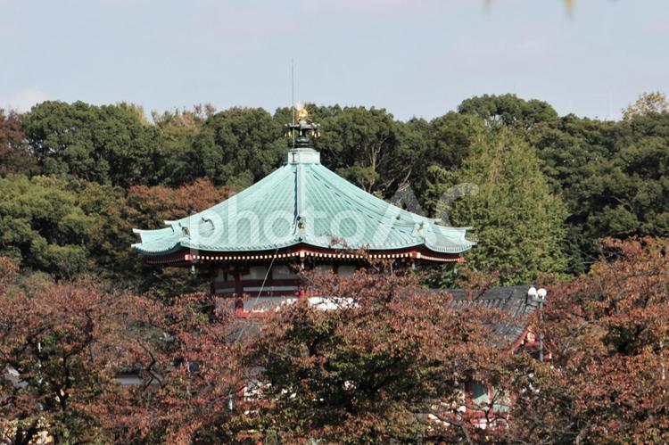 上野不忍池弁天堂 弁天堂,上野,不忍池の写真素材