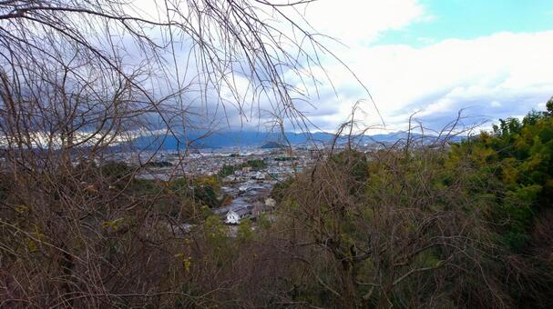 高台からの町並み 高台からの町並みの写真