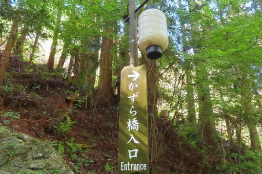 【徳島県】かずら橋 【徳島県】かずら橋 奥祖谷二重かずら橋,かずら橋,風景の写真素材