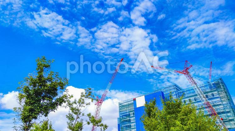 青空と工事中の建物 さわやか,青空,クレーンの写真素材
