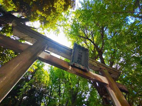 写真素材:東京都 鳥越神社の鳥居 写真素材:東京都 鳥越神社の鳥居 鳥越神社,鳥居,東京都の写真素材