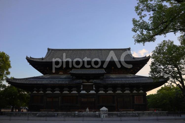 ７月中旬の早朝の京都東寺の伽藍 背景,伽藍,建物の写真素材