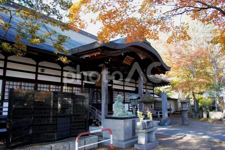 旧軽井沢神宮寺の紅葉 長野県,軽井沢,旧軽井沢の写真素材