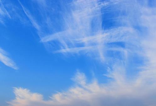 疾走感のある空 空,青空,秋空の写真素材