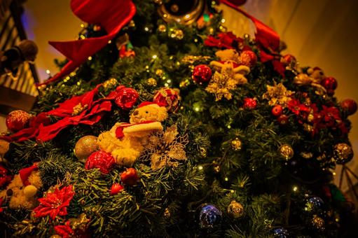 クリスマスツリーとくまの人形 冬,クリスマスツリー,クリスマスの写真素材