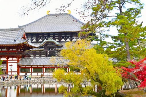 紅葉の鏡池　東大寺中門と大仏殿 東大寺,大仏殿,鏡池の写真素材