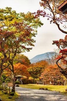 日光の鮮やかな紅葉 日光の鮮やかな紅葉 日光,日光東照宮,紅葉の写真素材