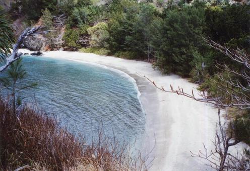 小笠原諸島父島のビーチ 小笠原諸島父島のビーチ 父島,海辺,砂浜の写真素材