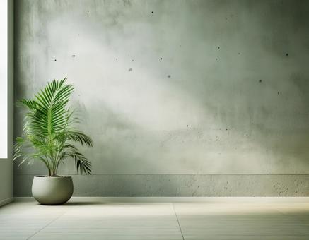 コンクリートの壁と観葉植物 コンクリートの壁と観葉植物の写真