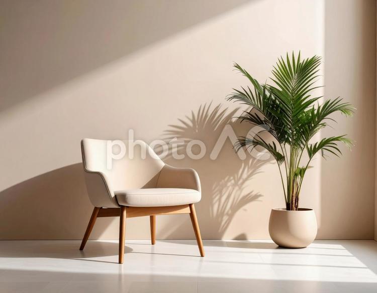 白いチェアと観葉植物の静かな室内 チェア,椅子,白の写真素材