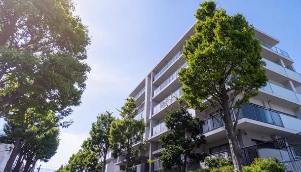 高層マンションを見上げる 高層マンションを見上げるの写真
