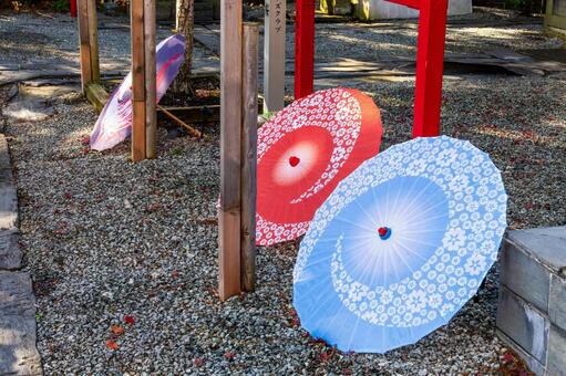 仙台八坂神社(38) 神社,仙台八坂神社,晩秋の写真素材