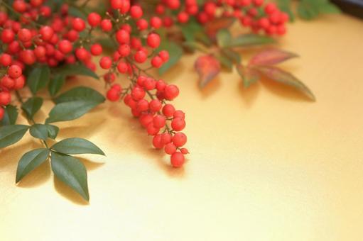 金色背景　南天 南天,ナンテン,正月の写真素材